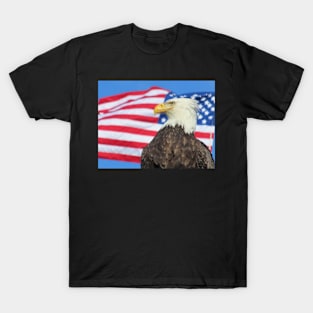 Bald Eagle American Flag T-Shirt